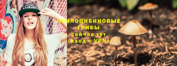 ешки Няндома